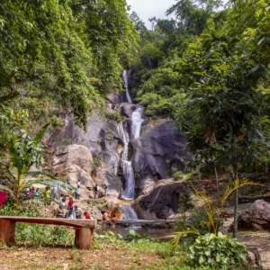Vive Perú - La selva cusqueña 12D/11N